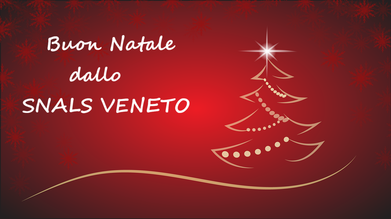 Albero di natale